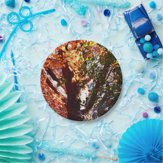 Mapelbomen, uitzicht herfstbomen papieren bordje (Feest)