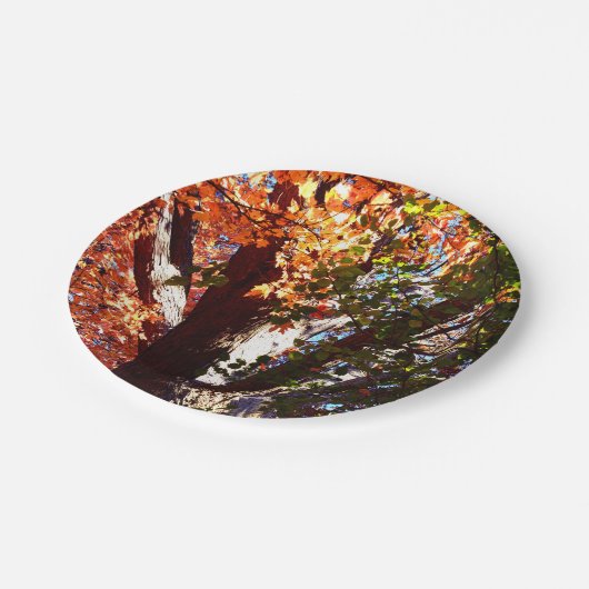 Mapelbomen, uitzicht herfstbomen papieren bordje (Gekanteld)
