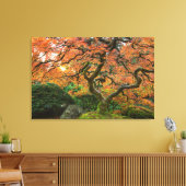 Mapelboom in de Japanse tuinen in het najaar Canvas Afdruk (Insitu (Woonkamer))