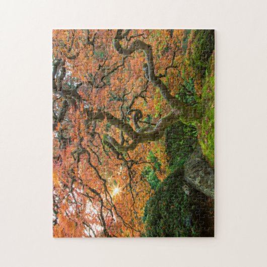 Mapelboom in de Japanse tuinen in het najaar Legpuzzel (Verticaal)