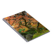 Mapelboom in de Japanse tuinen in het najaar Notitieboek (Rechterzijde)