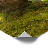 Mapelboom in Portland Oregon Japanse tuinpost Poster (Hoek)