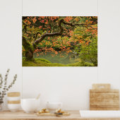 Mapelboom in Portland Oregon Japanse tuinpost Poster (Keuken)