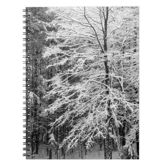 Mapelboom in sneeuw notitieboek (Voorkant)