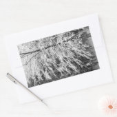 Mapelboom in sneeuw rechthoekige sticker (Envelop)