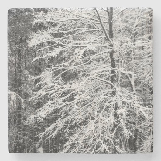 Mapelboom in sneeuw stenen onderzetter (Voorkant)