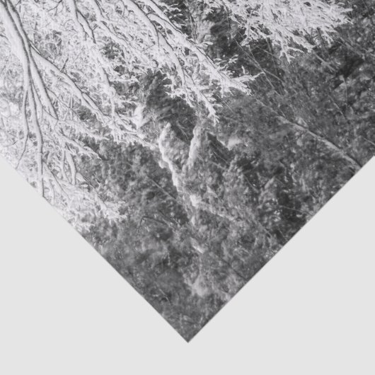 Mapelboom in sneeuw tissuepapier (Detail)