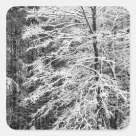 Mapelboom in sneeuw vierkante sticker