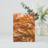 Mapelboombladeren Briefkaart (Staand voorkant)