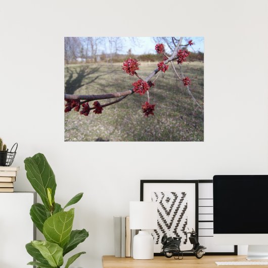 Mapelboomknoppen Poster (Thuiskantoor)