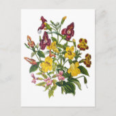 Mapenbloemen Briefkaart (Voorkant)