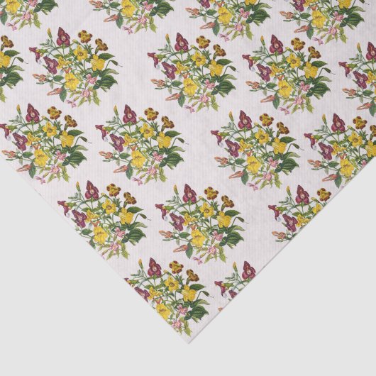 Mapenbloemen Tissuepapier (Detail)