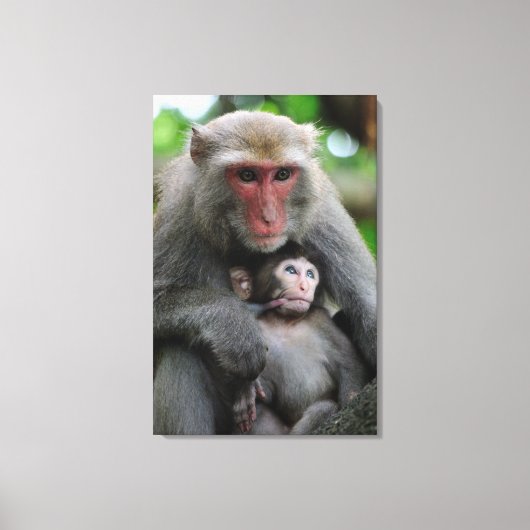 Mapenborst voedt haar Baby Canvas Afdruk (Voorkant)