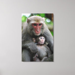 Mapenborst voedt haar Baby Canvas Afdruk