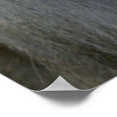 Mapenborst voedt haar Baby Poster (Hoek)