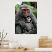 Mapenborst voedt haar Baby Poster (Keuken)