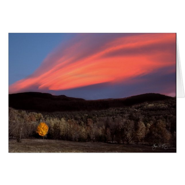 Maple Ablaze op Sunset (Voorkant Horizontaal)