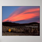 Maple Ablaze op Sunset: Thoreau Wildness Poster (Voorkant)