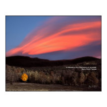 Maple Ablaze op Sunset: Thoreau Wildness Poster