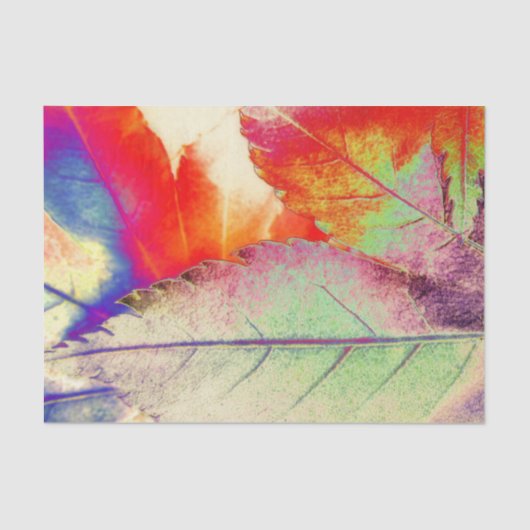 Maple Abstract Tissuepapier (Voorkant)