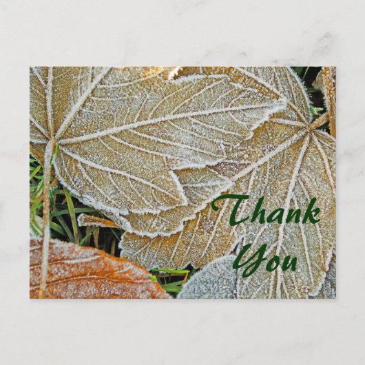Maple bevroren Dank u Briefkaart (Voorkant)