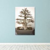 Maple Bonsai Tree Canvas Afdruk (Insitu (Houten vloer))