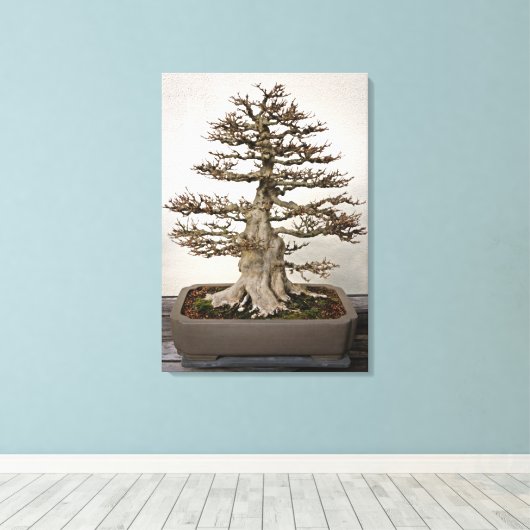 Maple Bonsai Tree Canvas Afdruk (Insitu (Houten vloer))