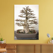 Maple Bonsai Tree Canvas Afdruk (Insitu (Woonkamer))