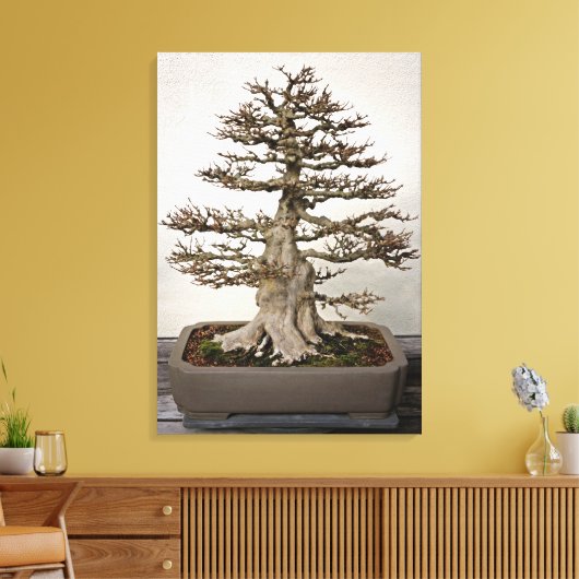 Maple Bonsai Tree Canvas Afdruk (Insitu (Woonkamer))