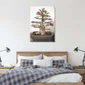 Maple Bonsai Tree Canvas Afdruk (Insitu (Slaapkamer))