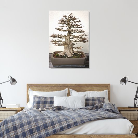 Maple Bonsai Tree Canvas Afdruk (Insitu (Slaapkamer))