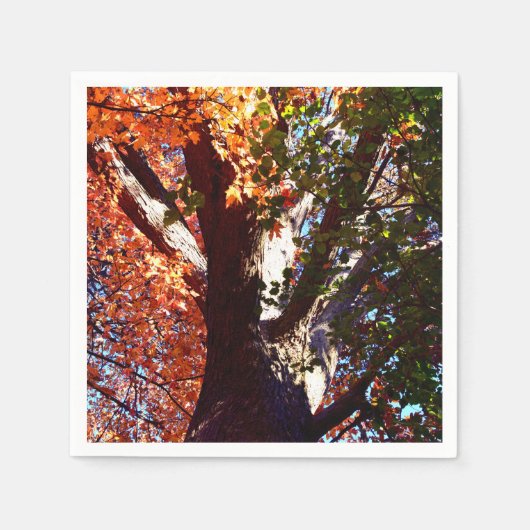 Maple boom bos bladeren herfst botanische servet (Voorkant)