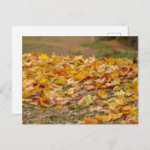 Maple boombladeren in Letland. Feestdagenkaart (Voorkant / Achterkant)