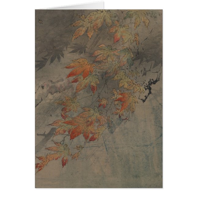 Maple Branch (Voorkant)