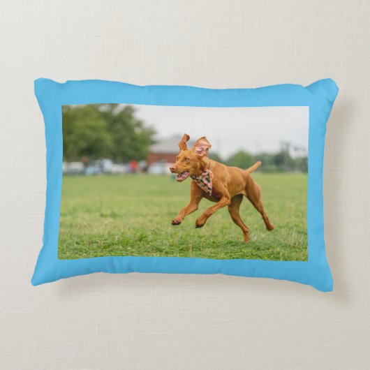 Maple cartoon en real life kussen (Achterkant)