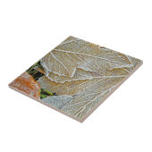 Maple Ceramic Tegel, bevroren Tegeltje (Zijkant)