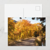 Maple Dell in het najaar Briefkaart (Voorkant / Achterkant)