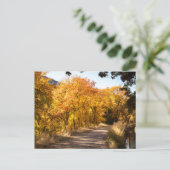 Maple Dell in het najaar Briefkaart (Staand voorkant)