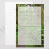 Maple Glade trail, bedekt met varens en mos Briefpapier (Voorkant / Achterkant)