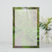 Maple Glade trail, bedekt met varens en mos Briefpapier (Staand voorkant)