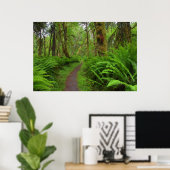 Maple Glade trail, bedekt met varens en mos Poster (Thuiskantoor)