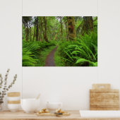 Maple Glade trail, bedekt met varens en mos Poster (Keuken)