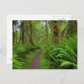 Maple Glade trail, veerboten en mos Briefkaart (Voorkant / Achterkant)