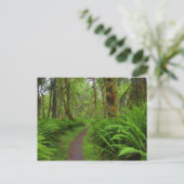 Maple Glade trail, veerboten en mos Briefkaart (Staand voorkant)