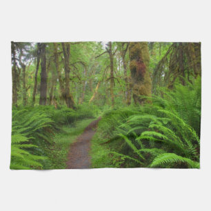 Maple Glade trail, veerboten en mos Theedoek