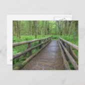 Maple Glade trail wood bridge, ferns and and Briefkaart (Voorkant / Achterkant)