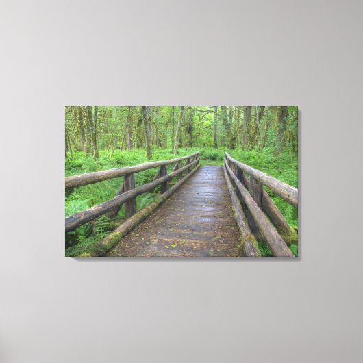 Maple Glade trail wood bridge, ferns and and Canvas Afdruk (Voorkant)