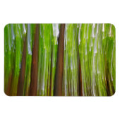 Maple Grove Abstract Magneet (Horizontaal)