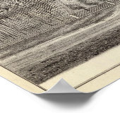 Maple Grove Poster (Hoek)