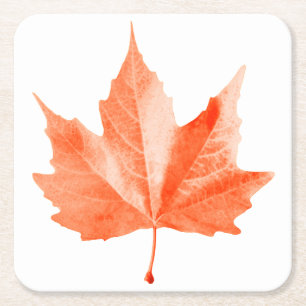 Maple herfstblad kartonnen onderzetters